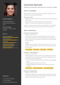 Professional CV template example with a dark sidebar, structured layout, and classic yellow accents